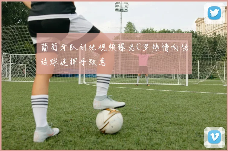 葡萄牙队训练视频曝光C罗热情向场边球迷挥手致意